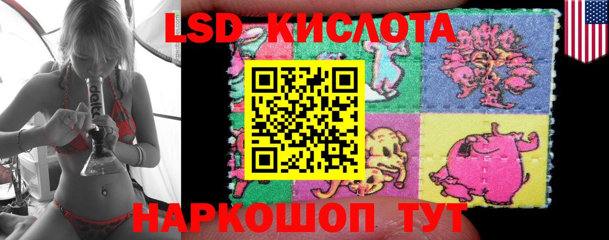 МЕФ Воронеж