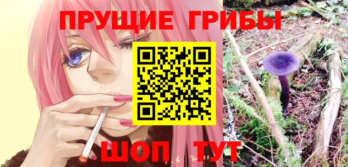 Воронеж  Галлюциногенные грибы MAGIC MUSHROOMS  Вход с VPN 