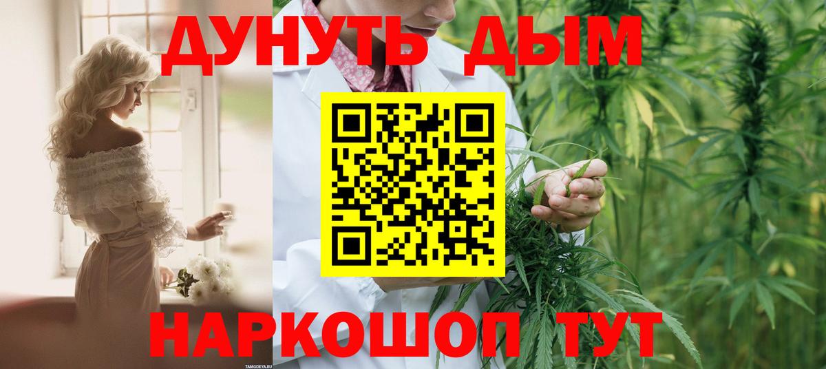 Каннабис индика Воронеж